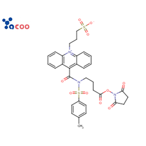吖啶鹽(NSP-SA-NHS) 199293-83-9