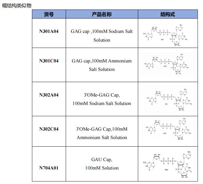 帽結(jié)構(gòu)類似物.png