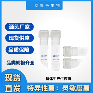 CAMP抗體；CAMP antibody 艾普蒂生物       