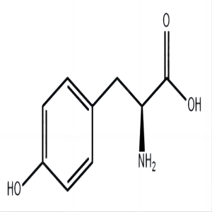 L-酪氨酸