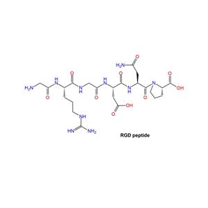 RGD peptide