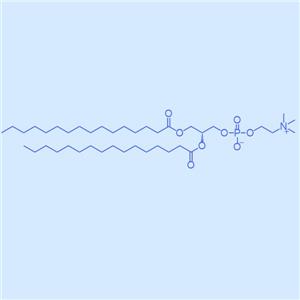 DPPC,二棕櫚酰磷脂酰膽堿,63-89-8