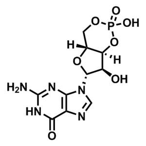 鳥苷 3'',5''-環(huán)單磷酸