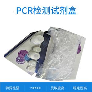 寨卡病毒、登革病毒和基孔肯雅病毒PCR檢測試劑盒（熒光PCR法）