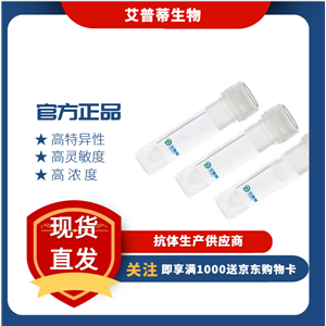 BNIP3L抗體；BNIP3L antibody  艾普蒂生物