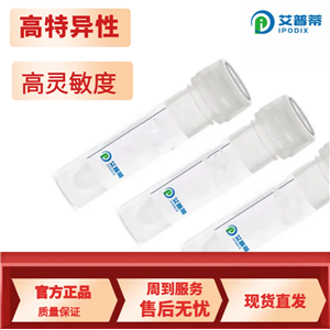 MARK4抗體；MARK4 antibody  艾普蒂生物