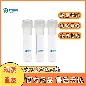 SART3抗體；SART3 antibody 艾普蒂生物