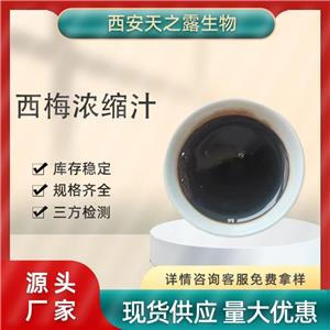 智利西梅濃縮汁原料工廠 6倍濃縮西梅汁糖度≥70 現(xiàn)貨西梅汁量大優(yōu)惠