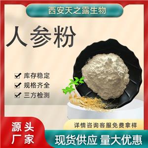 廠家直供 人參粉 人參提取物 人參皂甙 人參粉原料 超微粉 超細(xì)粉