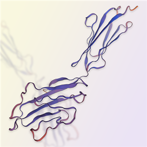 CD2重組蛋白-ACROBiosystems百普賽斯