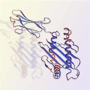 MICA重組蛋白，ACROBiosystems百普賽斯