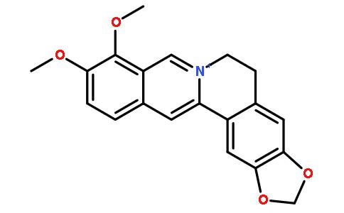 小檗堿「CAS號(hào):2086-83-1」_MSDS_用途_熔點(diǎn)_沸點(diǎn)-前衍化學(xué)