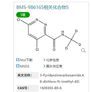 4,6-二氯-N-(甲基-d3)-3-噠嗪甲酰胺