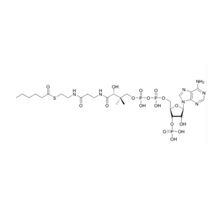 己酰輔酶A（鈉鹽）Hexanoyl-CoA-sodium-salt