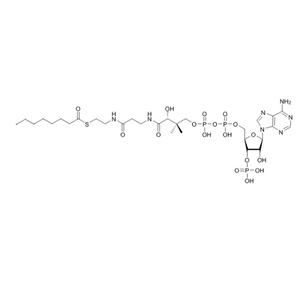 辛酰輔酶A（鈉鹽）Octanoyl coenzyme A  1264-52-4