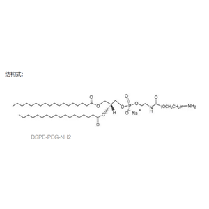 DSPE-PEG-NH2   分子量：1k，2k，3.4k，5k，10k，20k（可定制）