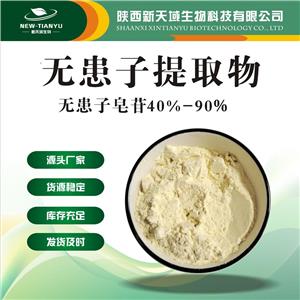 無患子提取物    無患子皂甙40% -80%    天然起泡劑 