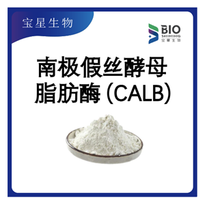 南極假絲酵母脂肪酶B（CALB，固定化酶）