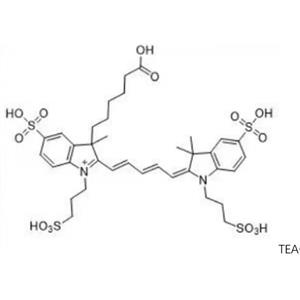 407627-58-1，AF647 acid，AF647 羧酸，一種遠(yuǎn)紅熒光染料