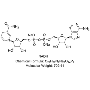 NADH；β-還原型煙酰胺腺嘌呤二核苷酸；還原型輔酶 I