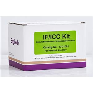 細胞免疫熒光ICC/IF Kit