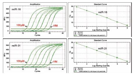 miRNA_qRT_PCR2.png