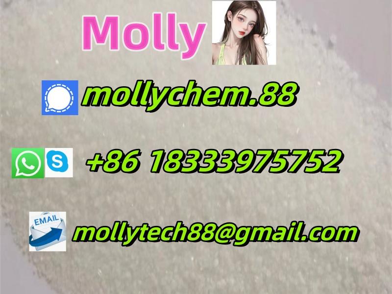 Molly Contact Info.jpg