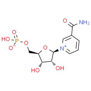 β-煙酰胺單核苷酸  抗皺原料 化妝品原料