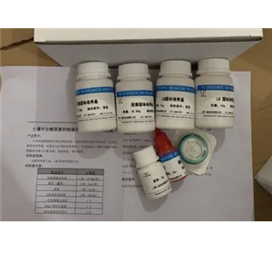 黃頭桿狀病毒染料法熒光定量RT-PCR試劑盒Yellow-Head Baculovirus(YBV)