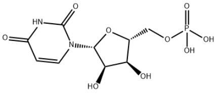 尿苷酸.jpg