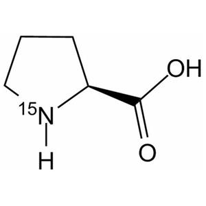 L-脯氨酸(13C5;15N) L-PROLINE(13C5; 15N)