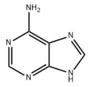 腺嘌呤.jpg