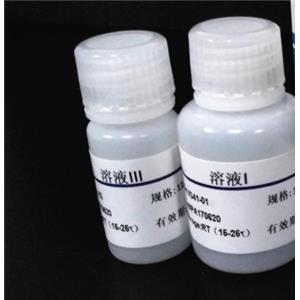 人腺病毒D32型探針法熒光定量PCR試劑盒Human Adenovirus D32（HAdV-D32）