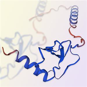 重組人CXCL3蛋白-ACROBiosystems百普賽斯