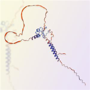 重組人CXCL16蛋白-ACROBiosystems百普賽斯