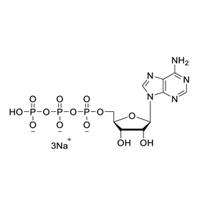 腺苷酸，腺苷三磷酸