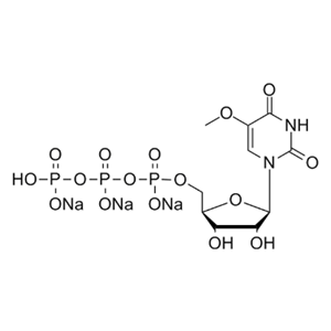 5-甲氧基尿苷-5'-三磷酸