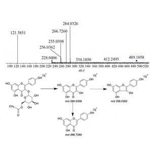 中藥成分代謝產(chǎn)物與原型分析|高分辨質(zhì)譜分析
