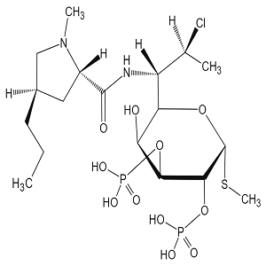 克林霉素磷酸酯EP雜質(zhì)H