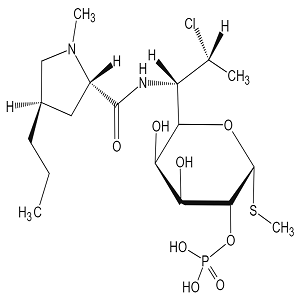 克林霉素磷酸酯EP雜質(zhì)L