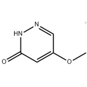 5-甲氧基噠嗪-3-酮  123696-01-5  5-Methoxy-2,3-dihydropyridazin-3-one