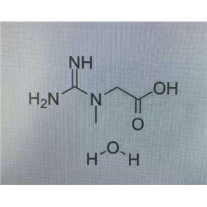 一水肌酸