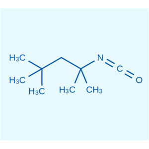 叔辛基異氰酸酯  1611-57-0