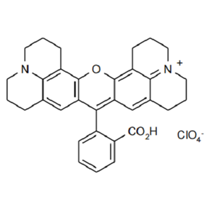 Rhodamine 101 perchlorate