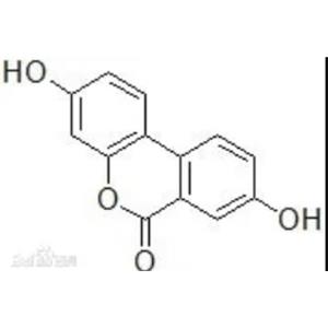 尿石素A