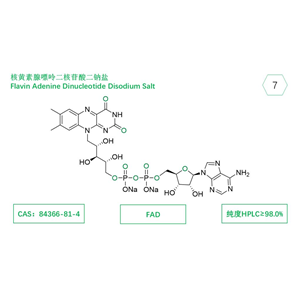 FAD；核黃素腺嘌呤二核苷酸二鈉鹽