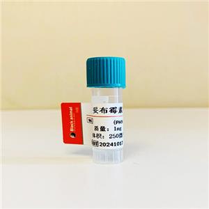 妥布霉素抗體；妥布霉素單克隆抗體（25F7細(xì)胞株）；妥布霉素抗原