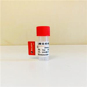 鹽酸克倫特羅抗體；鹽酸克倫特羅單克隆抗體；鹽酸克倫特羅抗原； Clenbuterol CL 抗體 （31D11細(xì)胞株）