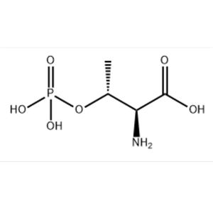 L-2-氨基-3-羥基丁酸-3-磷酸酯