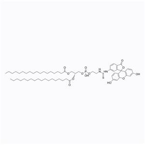 磷脂-熒光素，2933358-06-4，DSPE-Fluorescein